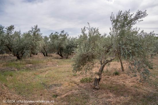 VENTA TERRENO RURAL -- CAMPO GOLF LAS GABIAS - GRANADA