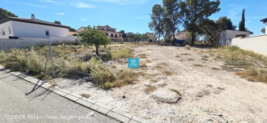 PARA CONSTRUIR TU CHALET, EN VENTA TERRENO URBANO, EN PETRER, ZONA SALINETAS - ALICANTE