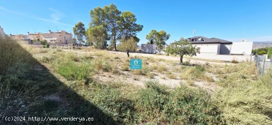 PARA CONSTRUIR TU CHALET, EN VENTA TERRENO URBANO, EN PETRER, ZONA SALINETAS - ALICANTE