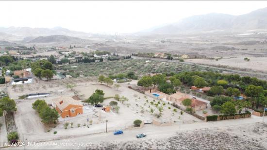  MAGNIFICA CASA CON TERRENO EN LA TRANQUILIDAD DEL CAMPO EN LEIVA, MAZARRON - MURCIA 