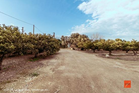 FINCA EN VENTA EN SANTA BÀRBARA (TARRAGONA) - TARRAGONA