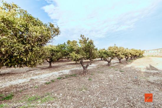 FINCA EN VENTA EN SANTA BÀRBARA (TARRAGONA) - TARRAGONA