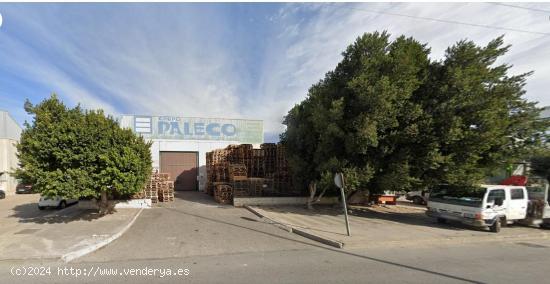 NAVE INDUSTRIAL 284 M2 CON PARCELA DE 595 M2. - MURCIA