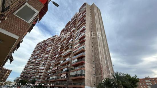 Oportunidad en San Blas - Santo Domingo, Alicante - ALICANTE