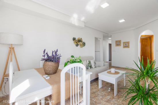 Moderno Apartamento con Piscina comunitaria en el Centro de Torrevieja - ALICANTE