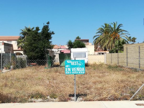  Suelo urbano en venta  en Amposta - Tarragona 