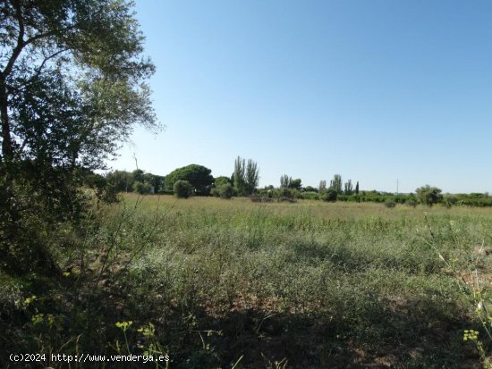  Suelo rústico en venta  en Lleida - Lleida 