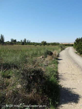 Suelo rústico en venta  en Lleida - Lleida