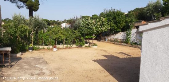 Suelo Urbanizable en venta  en Maçanet de La Selva - Girona