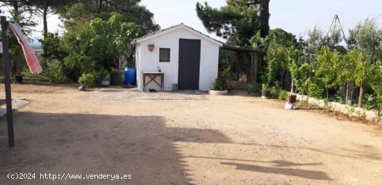 Suelo Urbanizable en venta  en Maçanet de La Selva - Girona