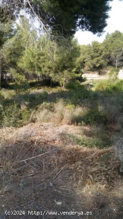 Suelo urbano en venta  en Cabra del Camp - Tarragona