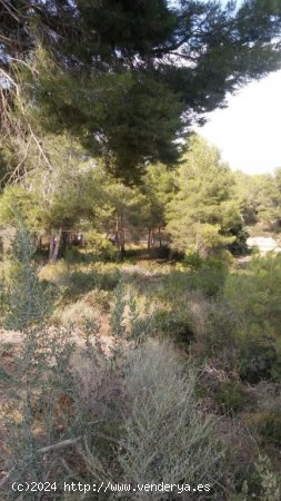 Suelo urbano en venta  en Cabra del Camp - Tarragona