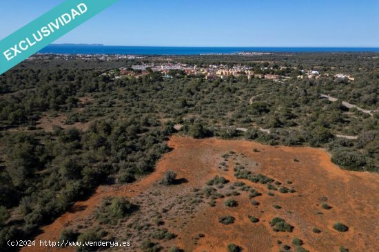 TERRENO PENTAGONAL CON GRANDES POSIBILIDADES