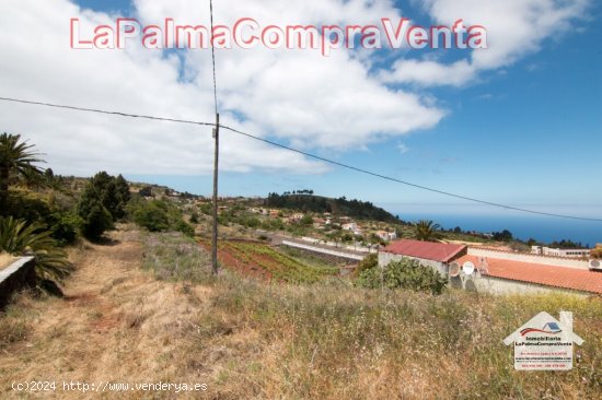  Solar urbano en Venta en Puntagorda Santa Cruz de Tenerife 