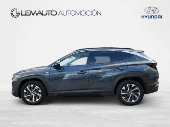 Hyundai Tucson ( 1.6 TGDI 48V Tecno Sky 4x2 DT )  - León