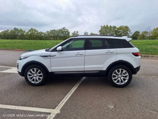 Land-Rover Range Rover Evoque Td4 150cv - Sentmenat