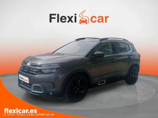 Citroën C5 Aircross BlueHdi 132kW (180CV) S&S EAT8 Shine - Pinto