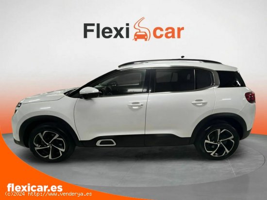 Citroën C5 Aircross BlueHdi 96kW (130CV) S&S Feel Pack - San Andrés de Palomar