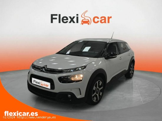 Citroën C4 Cactus BlueHDi 120 S&S EAT6 Shine - Zaragoza