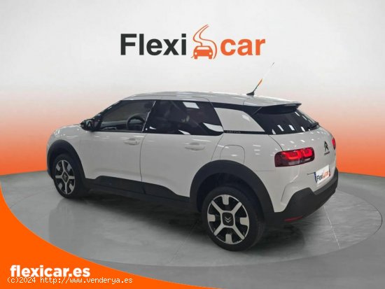 Citroën C4 Cactus BlueHDi 120 S&S EAT6 Shine - Zaragoza