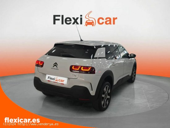 Citroën C4 Cactus BlueHDi 120 S&S EAT6 Shine - Zaragoza