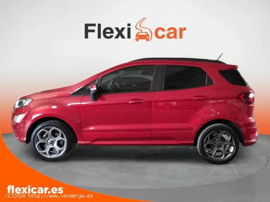 Ford Ecosport 1.0T EcoBoost 92kW (125) S&S ST Line - 5 P (2022) - Jaén