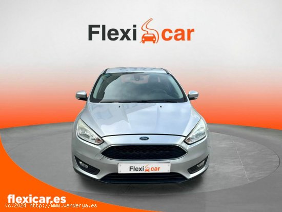 Ford Focus 1.6 TI-VCT 125cv Business - Palma Islas Baleares