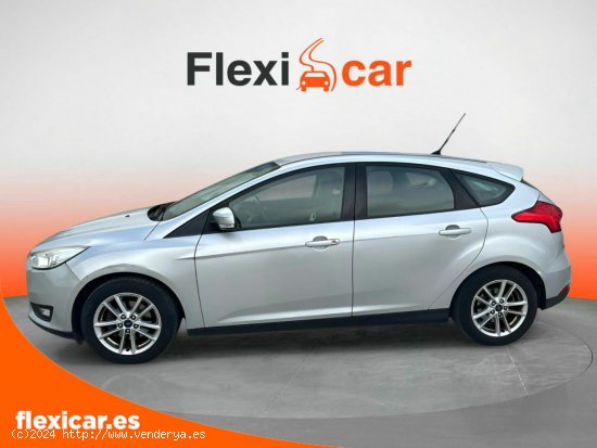 Ford Focus 1.6 TI-VCT 125cv Business - Palma Islas Baleares