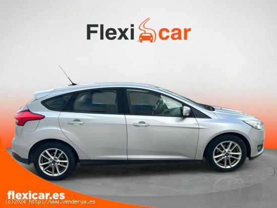 Ford Focus 1.6 TI-VCT 125cv Business - Palma Islas Baleares