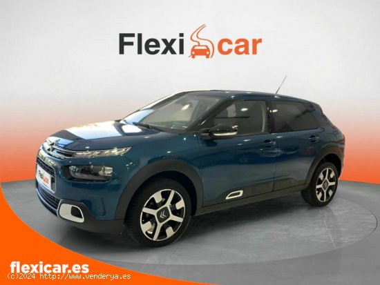 Citroën C4 Cactus PureTech 110 S&S Shine - Sevilla