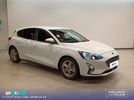 Ford Focus  1.5 Ecoblue 88kW Active - Madrid