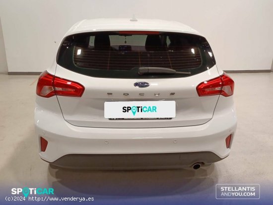 Ford Focus  1.5 Ecoblue 88kW Active - Madrid