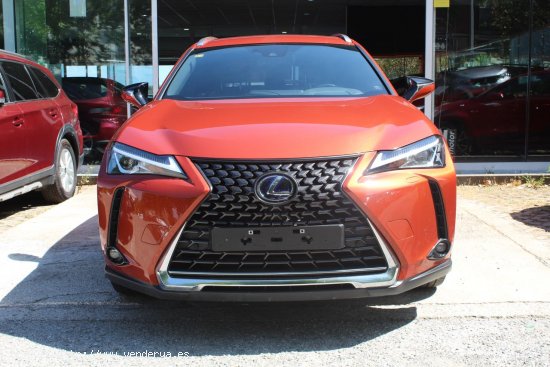 Lexus UX 2.0 250h Style - Madrid