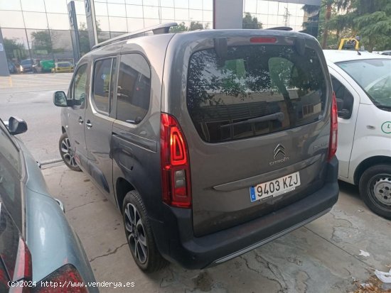 Citroën Berlingo TALLA M BLUE HDI 100 CV SHINE - Ponteareas