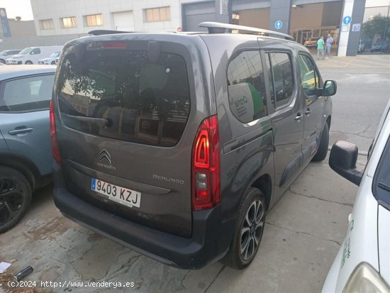 Citroën Berlingo TALLA M BLUE HDI 100 CV SHINE - Ponteareas