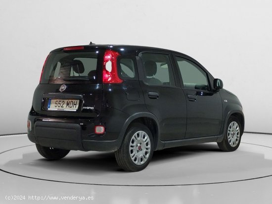 Fiat Panda 1.0 Mild Hybrid - Alcalá de Guadaira