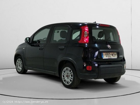 Fiat Panda 1.0 Mild Hybrid - Alcalá de Guadaira