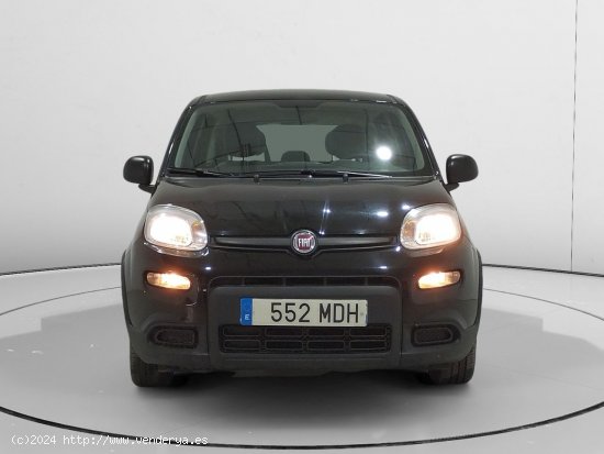 Fiat Panda 1.0 Mild Hybrid - Alcalá de Guadaira