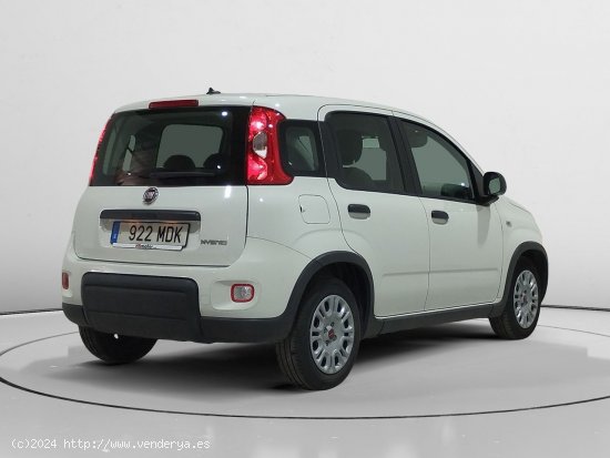 Fiat Panda 1.0 Mild Hybrid - Alcalá de Guadaira