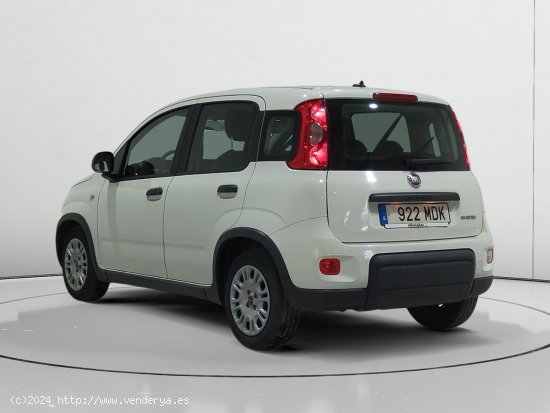 Fiat Panda 1.0 Mild Hybrid - Alcalá de Guadaira