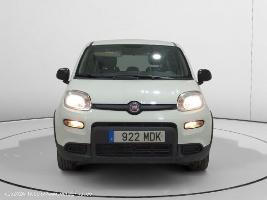 Fiat Panda 1.0 Mild Hybrid - Alcalá de Guadaira