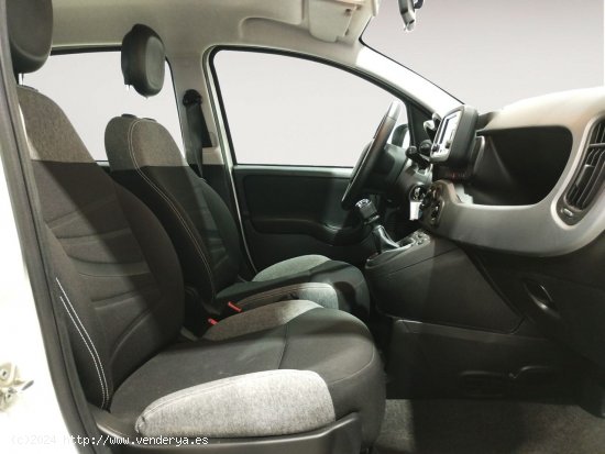 Fiat Panda 1.0 Mild Hybrid - Alcalá de Guadaira