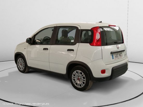 Fiat Panda Base - Quart de Poblet