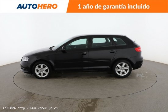 Audi A3 1.6 TDI Attraction - 