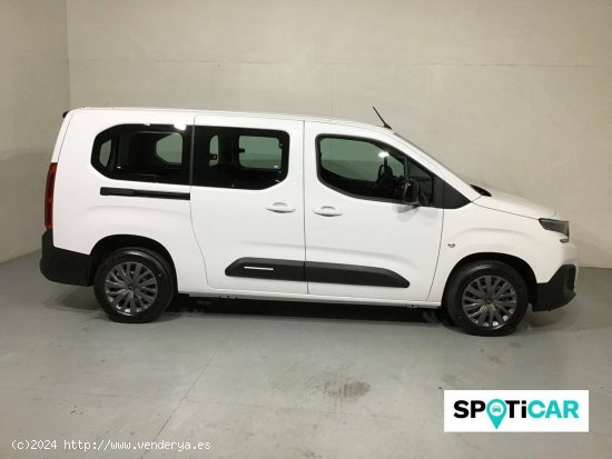 Citroën Berlingo  Talla XL BlueHDi 130 S&S Plus - Barberà del Vallès