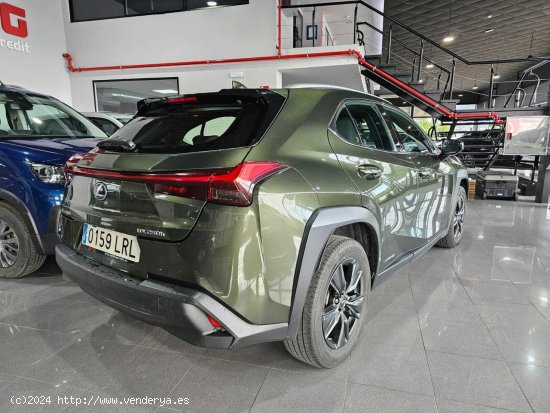 Lexus UX 250H 2.0 183CV - Lugo