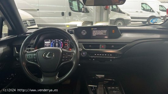 Lexus UX 250H 2.0 183CV - Lugo