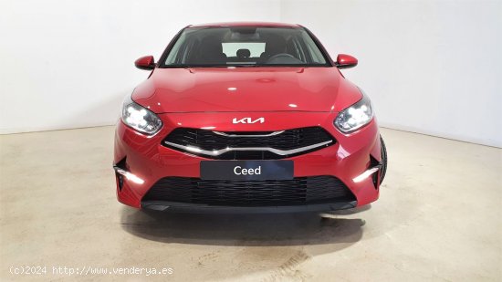 Kia Ceed 1.0 T-GDi 74kW (100CV) Drive - 