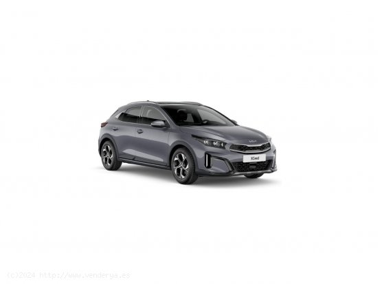 Kia XCeed 1.0 T-GDi Business 74kW (100CV) - 