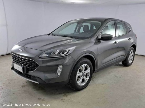 Ford Kuga Titanium 1.5 EcoBlue 88kW (120CV) Auto - Navalcarnero